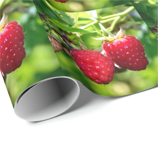 Himbeeren Geschenkpapier (Rolleneckpunkt)