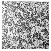 Himbeeren, handgezeichnet fliese (Vorderseite)