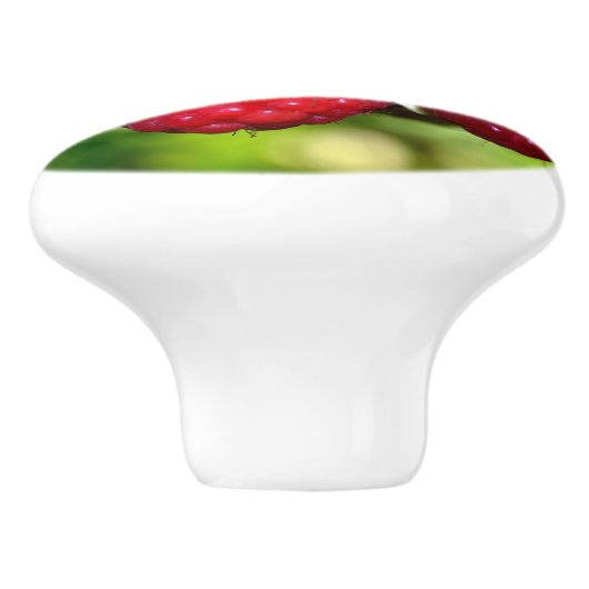 Himbeeren Keramikknauf (Seitenansicht)