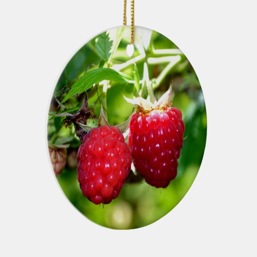 Himbeeren Keramikornament (Rechts)