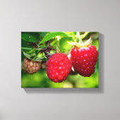 Himbeeren Leinwanddruck (Vorderseite)