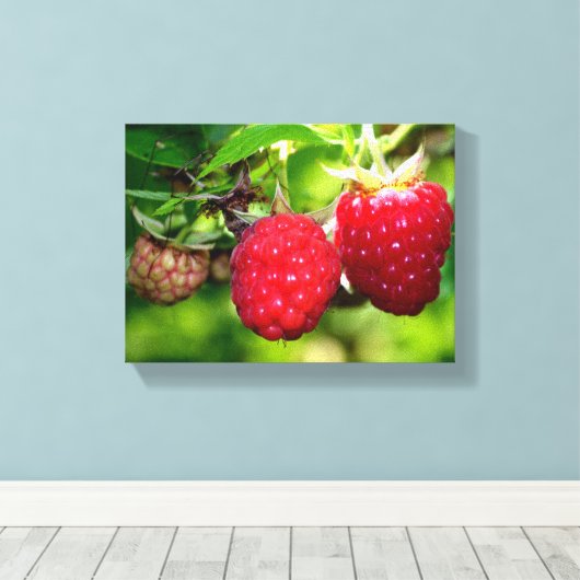 Himbeeren Leinwanddruck (Insitu (Holzboden))