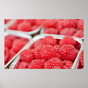 Himbeeren Nahaufnahme Poster