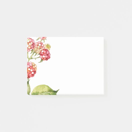 Himbeeren Post-it Klebezettel (Vorderseite)