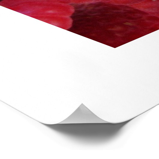 Himbeeren Poster (Ecke)