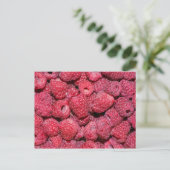 Himbeeren Postkarte (Stehend Vorderseite)