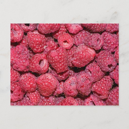 Himbeeren Postkarte (Vorderseite)