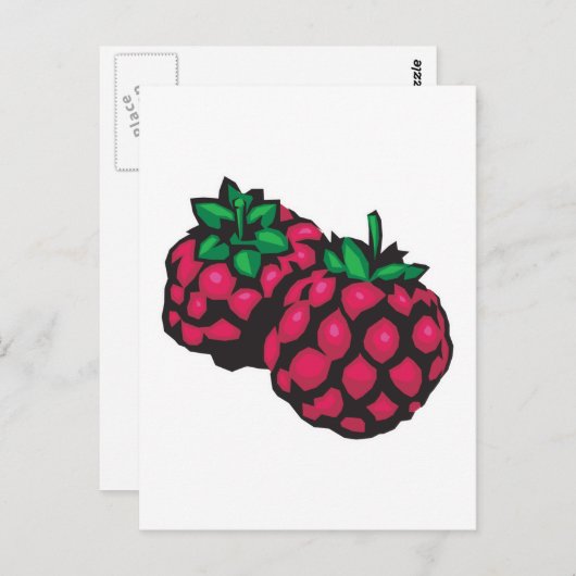 Himbeeren Postkarte (Vorne/Hinten)