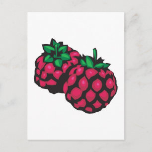 Himbeeren Postkarte