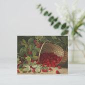Himbeeren Postkarte (Stehend Vorderseite)