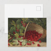 Himbeeren Postkarte (Vorne/Hinten)