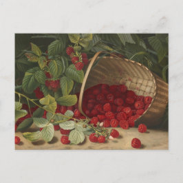Himbeeren Postkarte