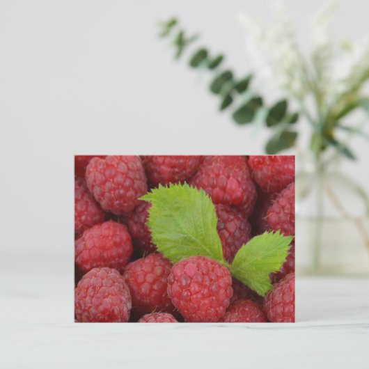 Himbeeren Postkarte (Stehend Vorderseite)