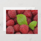 Himbeeren Postkarte (Vorne/Hinten)