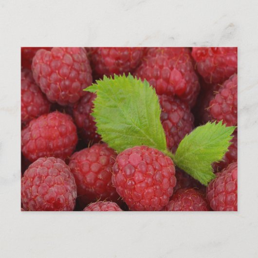 Himbeeren Postkarte (Vorderseite)