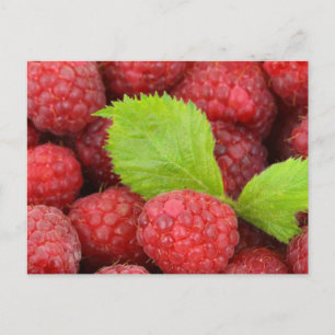 Himbeeren Postkarte