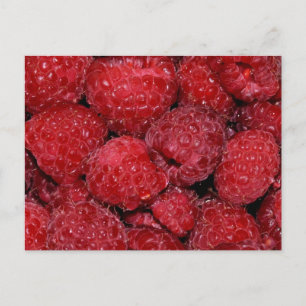 Himbeeren Postkarte