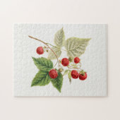 Himbeeren (Rubus Xneglectus) Früchtemalerei Puzzle (Horizontal)