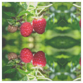 Himbeeren Stoff (Nahaufnahme)