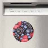 Himbeeren und Himbeeren Magnet (In Situ (Geschirrspüler))