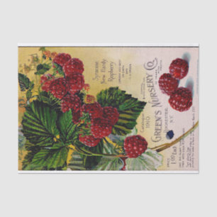Himbeeren Vintages Kinderzimmer Katalog Seidenpapier