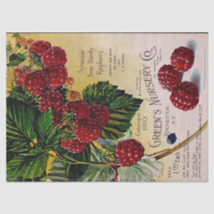 Himbeeren Vintages Kinderzimmer Katalog Seidenpapier