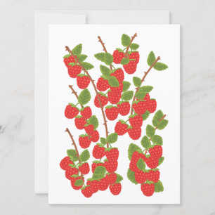 Himbeerfrucht