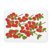 Himbeerfrucht Magnet (Horizontal)