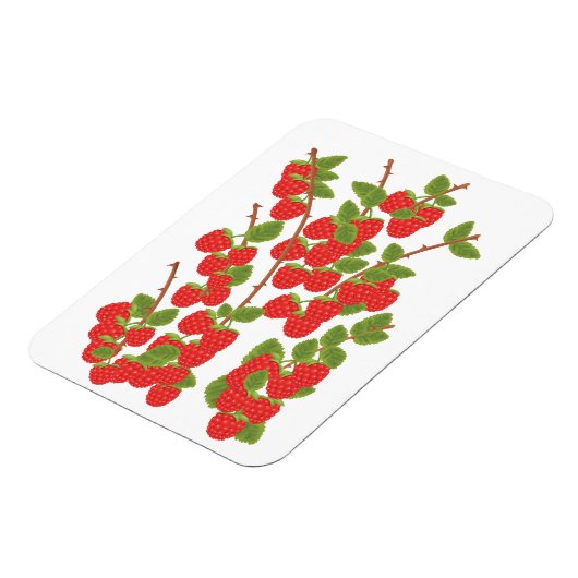 Himbeerfrucht Magnet (Linke Seite)