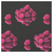 Himbeerleben Stoff (Nahaufnahme)