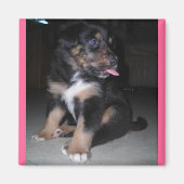 Himbeermagnet Magnet (Vorne)