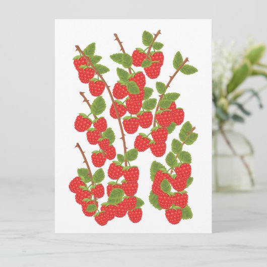 Himbeerobst (Stehend Vorderseite)