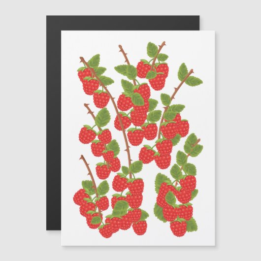 Himbeerobst Magnetkarte (Vorne/Hinten)