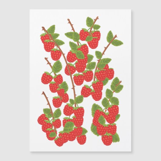 Himbeerobst Magnetkarte (Vorderseite)