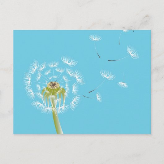 Himblauer Löwenzahn Postkarte (Vorderseite)