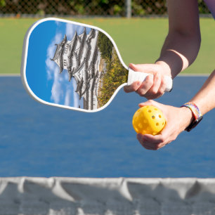 Himeji Burg #5, Japan Pickleball Schläger