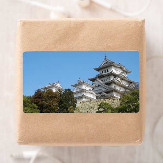 Himeji Castle 姫 路 城, Hyogo, Japan (Insitu)