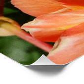 Himmel, Blume und Bienen Poster (Ecke)