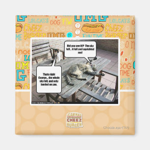 Himmel fällt magnet