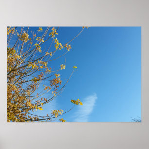 Himmel im Herbst Poster
