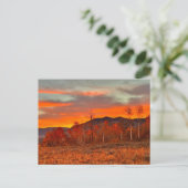 Himmel in Flammen Postkarte (Stehend Vorderseite)