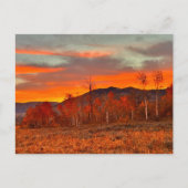 Himmel in Flammen Postkarte (Vorderseite)