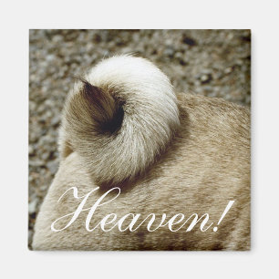 Himmel! Magnet