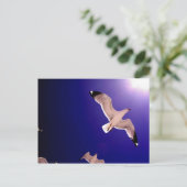 Himmel öffnet postkarte (Stehend Vorderseite)