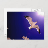 Himmel öffnet postkarte (Vorne/Hinten)