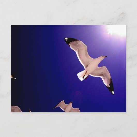 Himmel öffnet postkarte (Vorderseite)