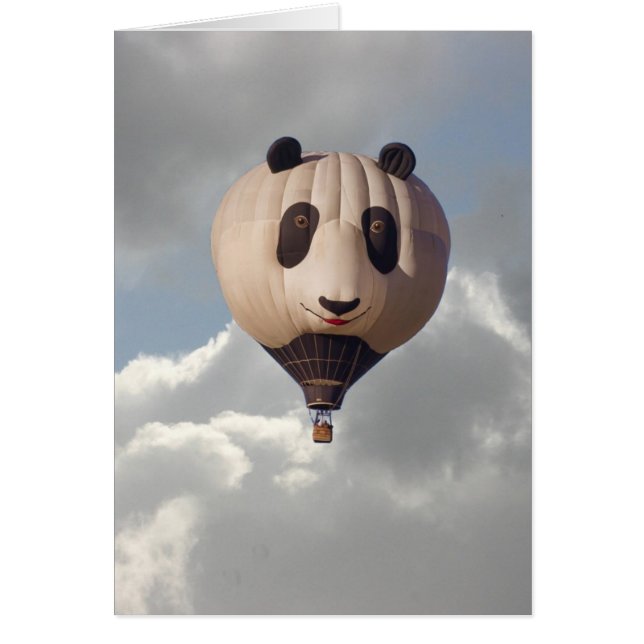 HIMMEL-PANDA (Vorne)