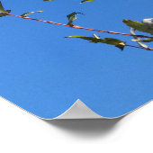 Himmel Poster (Ecke)