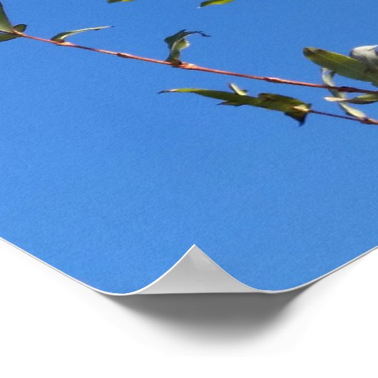 Himmel Poster (Ecke)