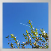 Himmel Poster (Vorne)